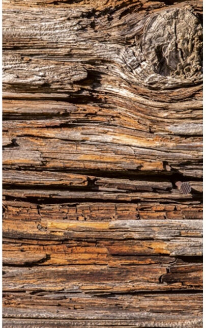 Fleece-kuvatapetti Tree bark 150x250 cm Fleece-kuvatapetti Tree bark 150x250 cm