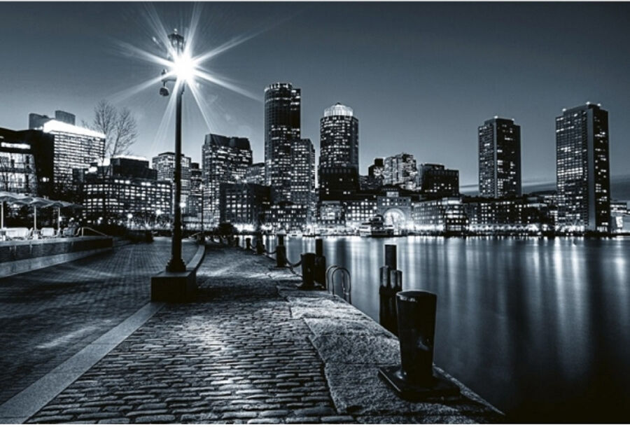 Fleece-kuvatapetti Boston 375x150 cm Fleece-kuvatapetti Boston 375x150 cm