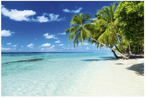 Fleece-kuvatapetti Paradise beach 375x250 cm Fleece-kuvatapetti Paradise beach 375x250 cm