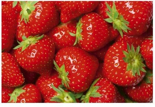 Fleece kuvatapetti Strawberry 375x250 cm Fleece kuvatapetti Strawberry 375x250 cm