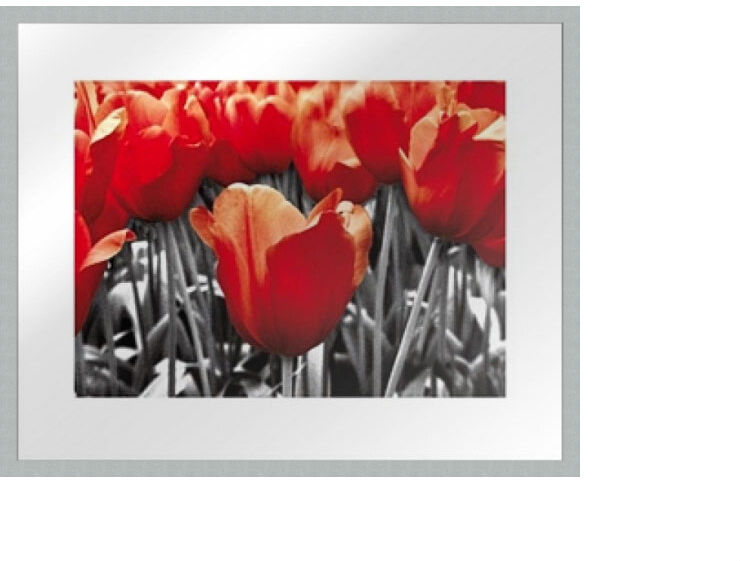 Taulu MODERN - PUNAISET TULPPAANIT 40x50 cm Taulu MODERN - PUNAISET TULPPAANIT 40x50 cm