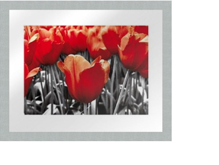 Taulu MODERN - PUNAISET TULPPAANIT 20x25 cm Taulu MODERN - PUNAISET TULPPAANIT 20x25 cm