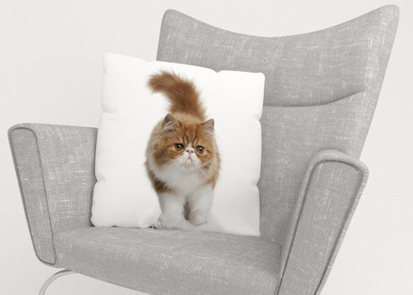 Koristetyynyliina FLUFFY CAT 40x40 cm