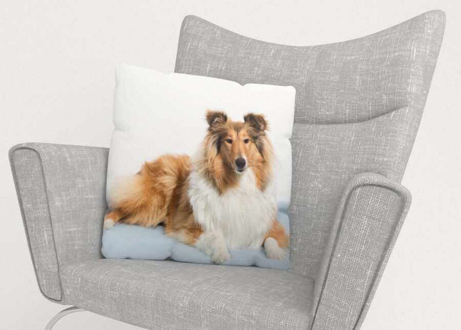 Koristetyynyliina Beautiful Collie 40x60 cm Koristetyynyliina Beautiful Collie 40x60 cm