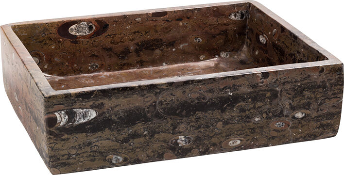 Pesuallas marmoria Pesuallas marmoria