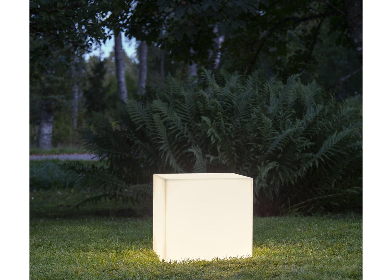 Dekoratiivi puutarhavalaisin Dekoratiivi puutarhavalaisin