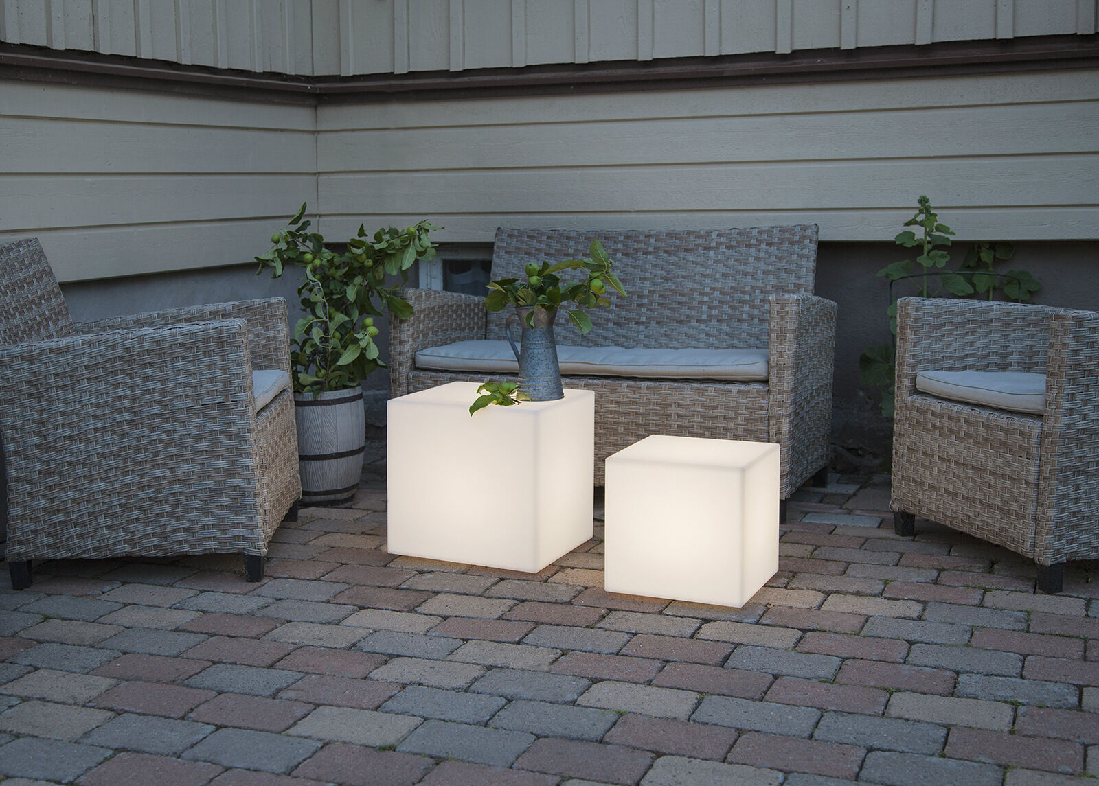 Dekoratiivi puutarhavalaisin Dekoratiivi puutarhavalaisin