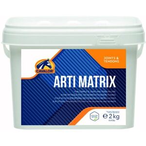 NUTRIQUINE NV Hevosen ravintolisä arti matrix 2 kg