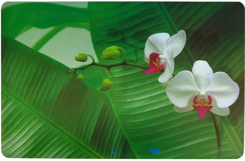 Pöytätabletit ORKIDEA, 4 kpl Pöytätabletit ORKIDEA, 4 kpl