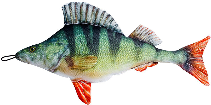 Pehmeä ahven Pehmeä ahven