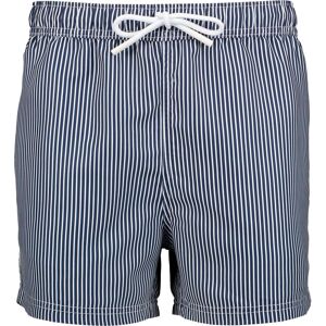 Epic Days Core Swim Shorts M Uimahousut NAVY STRIPE - male - NAVY STRIPE - M