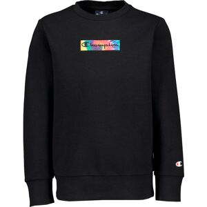 Champion Crewneck Sweatshirt Collegepaidat BLACK - unisex - BLACK - M