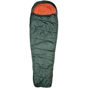 Sprayway Alcor 3 Season Makuupussit DARK SPRUCE - unisex - DARK SPRUCE - ONE SIZE