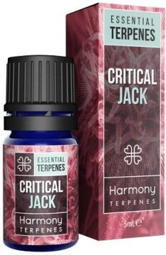 Harmony Terpènes de cannabis CRITICAL JACK (5 ml) (Harmony) Harmony Terpènes de cannabis CRITICAL JACK (5 ml) (Harmony)