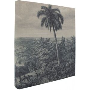 Panodia Album photo traditionnel palmier 600 photos 10x15 cm Beige 34x36x6cm