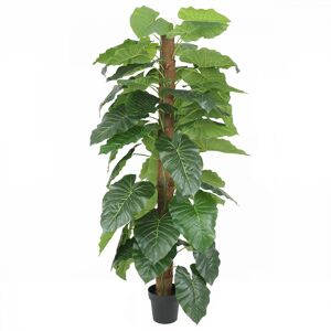 Ligne Deco Philodendron artificiel tronc coco 180cm Vert 0x180cm