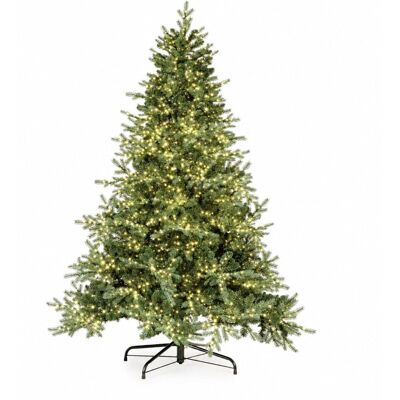 Bizzotto Sapin de noël 210 cm, 2698 branches, 4000 micro-led, ø 155 cm Vert 155x210x155cm - Publicité Bizzotto Sapin de noël 210 cm, 2698 branches, 4000 micro-led, ø 155 cm Vert 155x210x155cm - Publicité