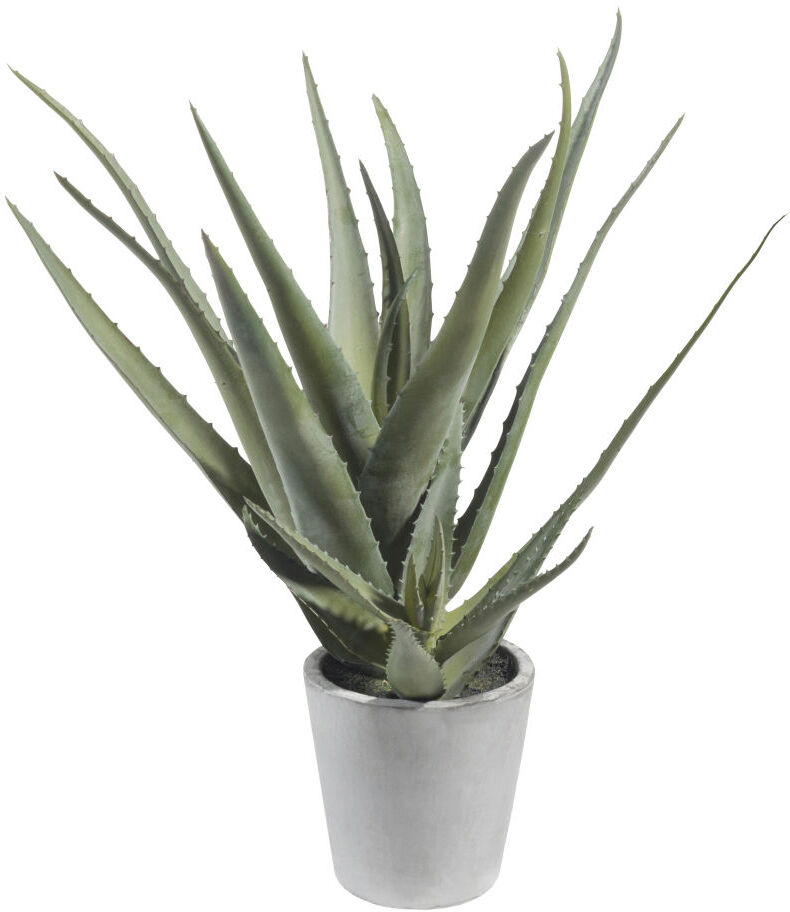 Maisons du Monde Aloe vera artificielle en pot H 36 cm Maisons du Monde Aloe vera artificielle en pot H 36 cm