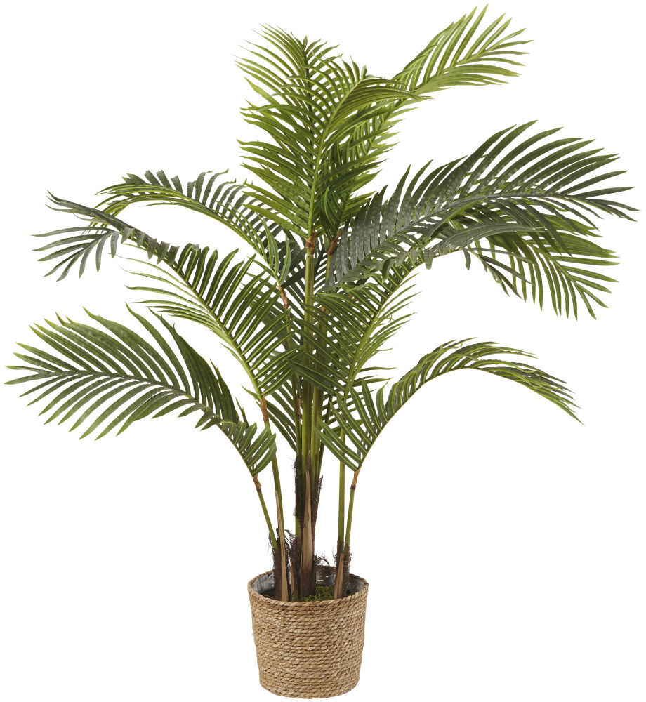 Maisons du Monde Areca artificiel en pot Maisons du Monde Areca artificiel en pot