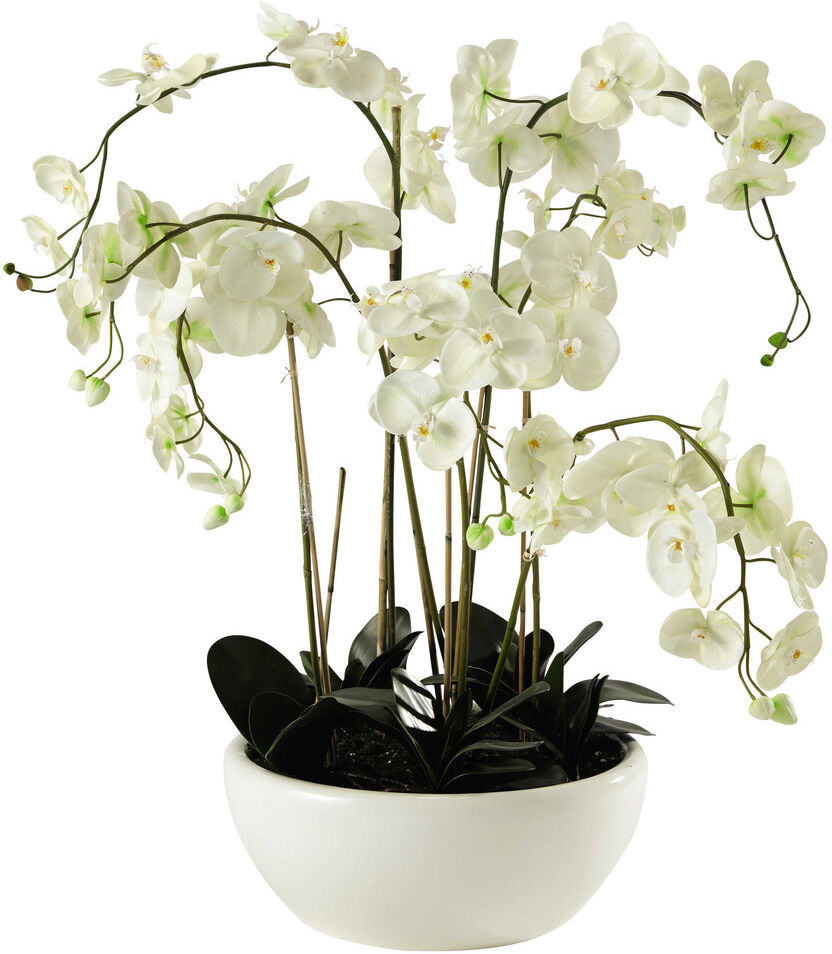 Maisons du Monde Orchidée artificielle en pot H 98 cm FLORA