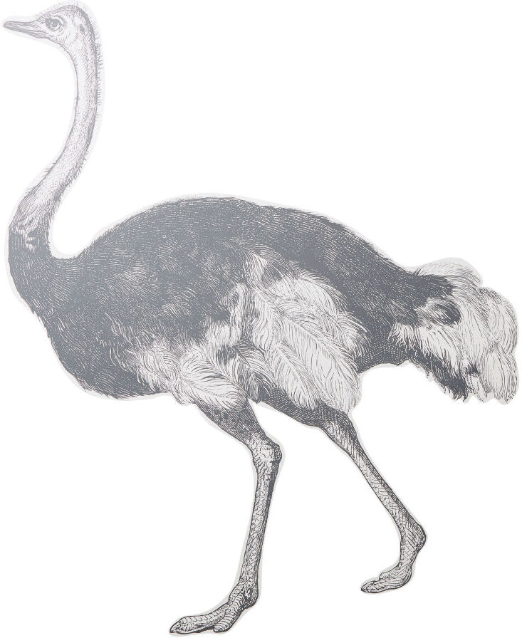 Maisons du Monde Sticker mural imprimé autruche en vinyle noir et blanc Maisons du Monde Sticker mural imprimé autruche en vinyle noir et blanc