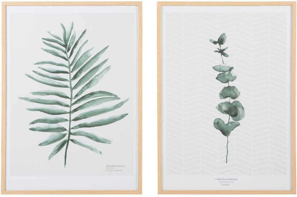 Maisons du Monde Tableaux imprimé végétal (x2) 52x73 Maisons du Monde Tableaux imprimé végétal (x2) 52x73