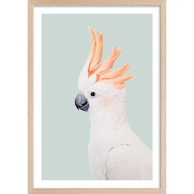 Hexoa Affiche enfant cockatoo avec cadre bois 40x60 cm Rose 40x60x2cm - Publicité Hexoa Affiche enfant cockatoo avec cadre bois 40x60 cm Rose 40x60x2cm - Publicité