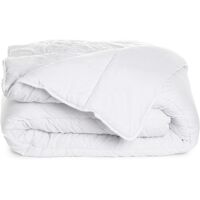 Bleu Câlin Couette chaude 400g/m2 anti-punaises de lit 200x200cm Blanc 200x0x200cm