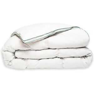 WAKE ME GREEN Couette CHAUDE 50% Duvet - Coton 240x260 cm - Wake Me Green Blanc 260x0x240cm