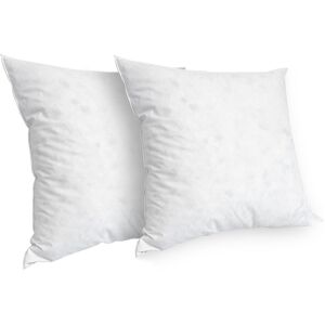 Bellecour Lot de 2 oreillers 60x60 Duvet & Plumes Mi-ferme Blanc 60x18x60cm