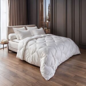 Anne de Solène Couette edelweiss synthétique tempérée coton 240x220 cm Blanc 240x0x220cm - Publicité Anne de Solène Couette edelweiss synthétique tempérée coton 240x220 cm Blanc 240x0x220cm - Publicité