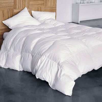 Becquet Couette très chaude en coton blanc 200x200cm Blanc 200x1x200cm - Publicité Becquet Couette très chaude en coton blanc 200x200cm Blanc 200x1x200cm - Publicité