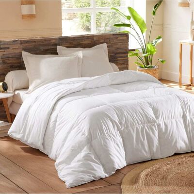 Becquet Couette très chaude en coton blanc 240x220cm Blanc 220x1x240cm - Publicité Becquet Couette très chaude en coton blanc 240x220cm Blanc 220x1x240cm - Publicité