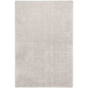 Snapstyle Tapis en velours à poils longs gris argent 160x200 cm Argenté 200x1x160cm - Publicité Snapstyle Tapis en velours à poils longs gris argent 160x200 cm Argenté 200x1x160cm - Publicité