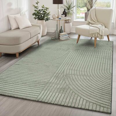 The carpet Tapis design moderne, densité élevée, vert, 160 x 230 cm Vert 230x0x160cm - Publicité The carpet Tapis design moderne, densité élevée, vert, 160 x 230 cm Vert 230x0x160cm - Publicité
