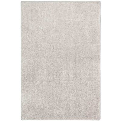 Snapstyle Tapis en velours à poils longs gris argent 200x300 cm Argenté 300x1x200cm - Publicité Snapstyle Tapis en velours à poils longs gris argent 200x300 cm Argenté 300x1x200cm - Publicité