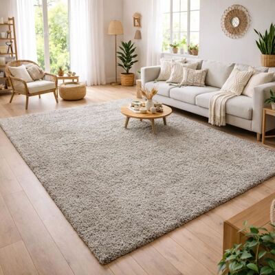Un amour de tapis Tapis shaggy 120x170 beige Beige 170x3x120cm - Publicité Un amour de tapis Tapis shaggy 120x170 beige Beige 170x3x120cm - Publicité