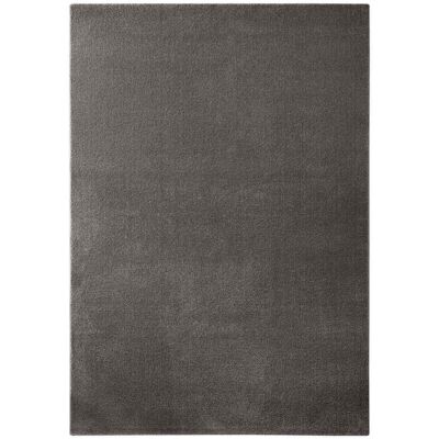 Esprit Tapis tissé poils ras anthracite 120x170 Gris 170x2x120cm - Publicité Esprit Tapis tissé poils ras anthracite 120x170 Gris 170x2x120cm - Publicité