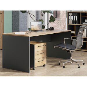 Vivabita caisson de bureau mobile contemporain chene/graphite Marron 42x54cm