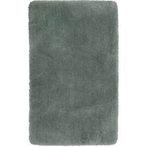 Homie Living Tapis de bain microfibre très doux uni vert sauge 70x120 Vert 70x120x70cm