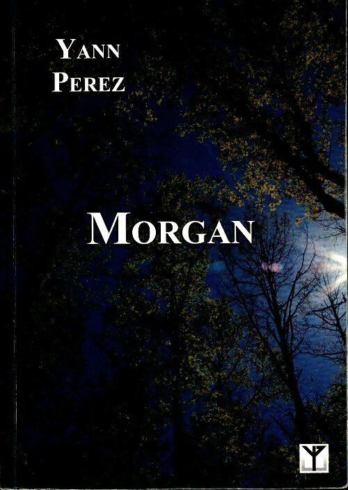 Yann Perez Morgan - Yann Perez - Livre
