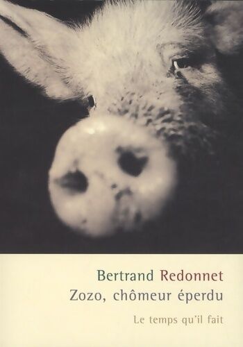 Bertrand Redonnet Zozo chômeur éperdu - Bertrand Redonnet - Livre