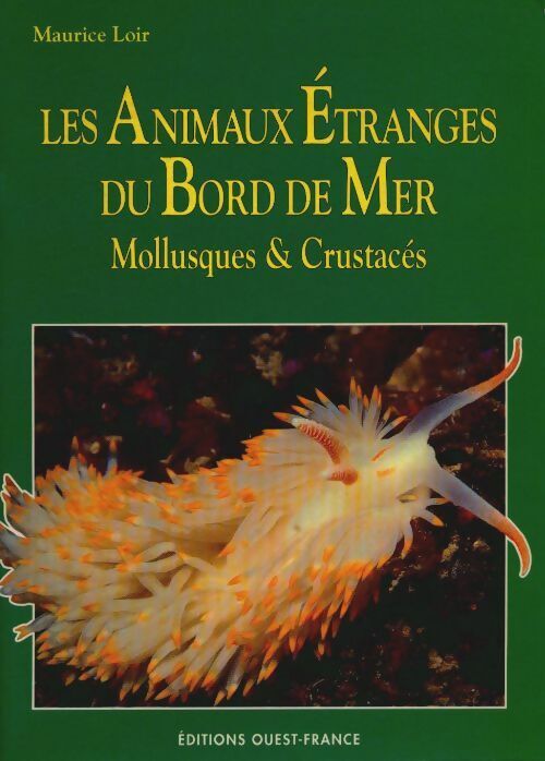 Maurice Loir Les animaux étranges du bord de mer - Maurice Loir - Livre
