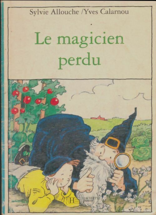Sylvie Allouche Le magicien perdu - Sylvie Allouche - Livre