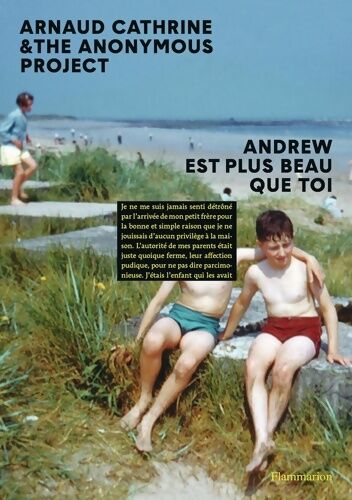 Arnaud Cathrine Andrew est plus beau que toi - Arnaud Cathrine - Livre