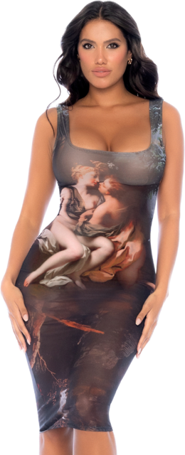 Robe Renaissance Transparente