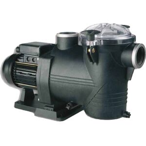 Astralpool Pompe Astral Discovery Modèle - 1,50CV - mono - 19m3/h - Publicité Astralpool Pompe Astral Discovery Modèle - 1,50CV - mono - 19m3/h - Publicité