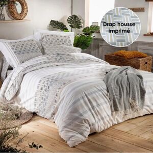 Drap Housse 100 coton Tradilinge DIEGO GRIS Imprime coordonne Couleur imprime coordonne