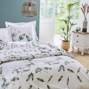 Drap percale Tradilinge MAGNOLIA SAUGE