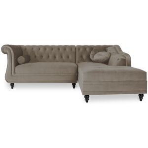 IntenseDeco Canapé d'angle droit Empire Velours Taupe style Chesterfield